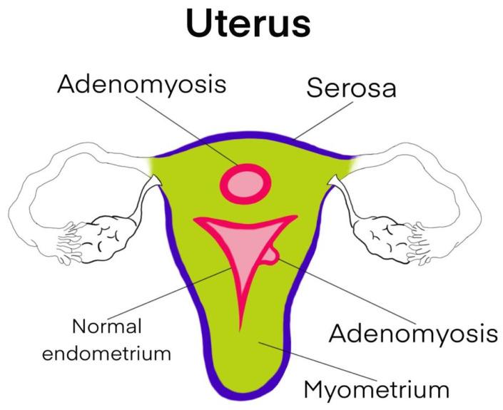 https://cdn.ncbi.nlm.nih.gov/pmc/blobs/05fa/10252751/a61ecfd3f8b8/diagnostics-13-01883-g001.jpg