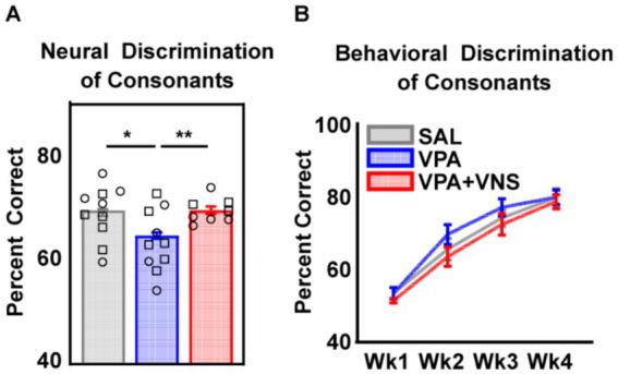 https://cdn.ncbi.nlm.nih.gov/pmc/blobs/05fa/12202670/84ac72628a1d/fnins-19-1600024-g004.jpg