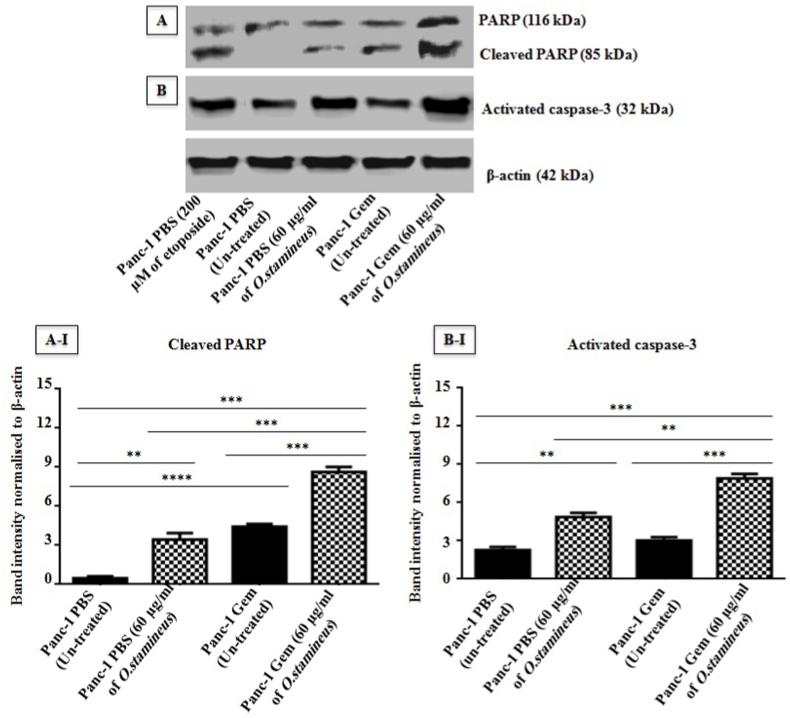 https://cdn.ncbi.nlm.nih.gov/pmc/blobs/05fa/9845648/7be6e2268698/gr8.jpg