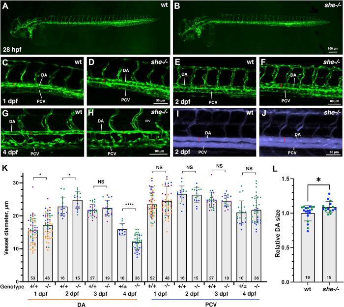 https://cdn.ncbi.nlm.nih.gov/pmc/blobs/05fc/10798624/51a1310513a6/pgen.1010851.g002.jpg