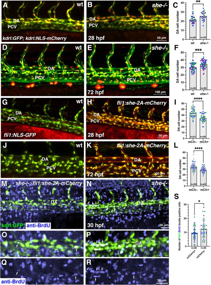 https://cdn.ncbi.nlm.nih.gov/pmc/blobs/05fc/10798624/6a0ac38eba11/pgen.1010851.g004.jpg