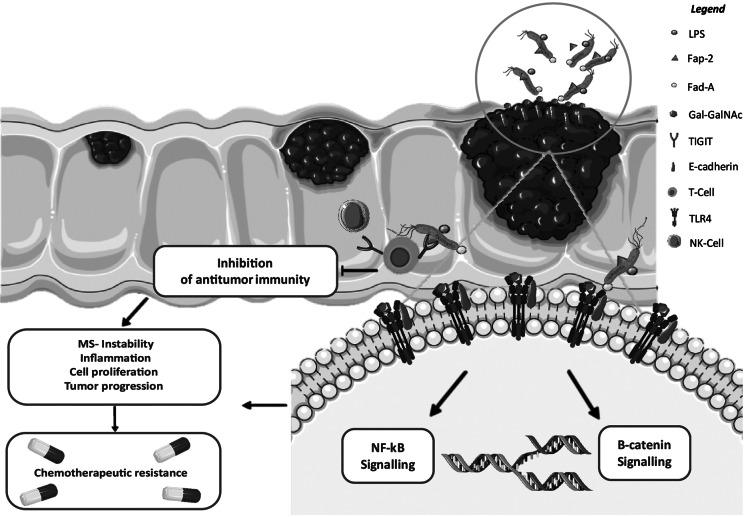 https://cdn.ncbi.nlm.nih.gov/pmc/blobs/05fc/12035788/5261f6bc3dce/S2632289725000039_fig1.jpg