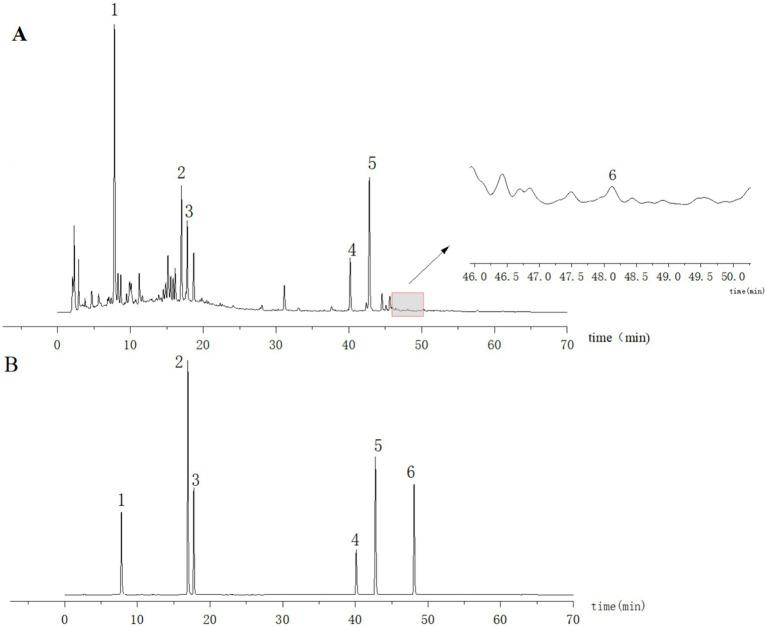 https://cdn.ncbi.nlm.nih.gov/pmc/blobs/05fd/11496272/4f22d2cb4e2a/fmicb-15-1482785-g001.jpg