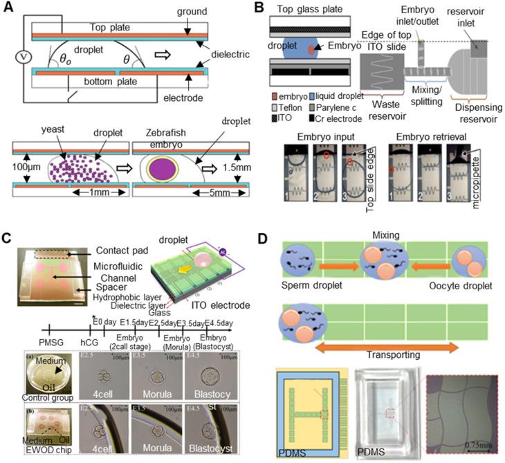 https://cdn.ncbi.nlm.nih.gov/pmc/blobs/05fd/8210615/4fccb5e53899/thnov11p7391g016.jpg