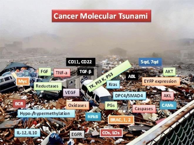 https://cdn.ncbi.nlm.nih.gov/pmc/blobs/05ff/5138175/bf7b9c0f818d/40169_2016_126_Fig1_HTML.jpg