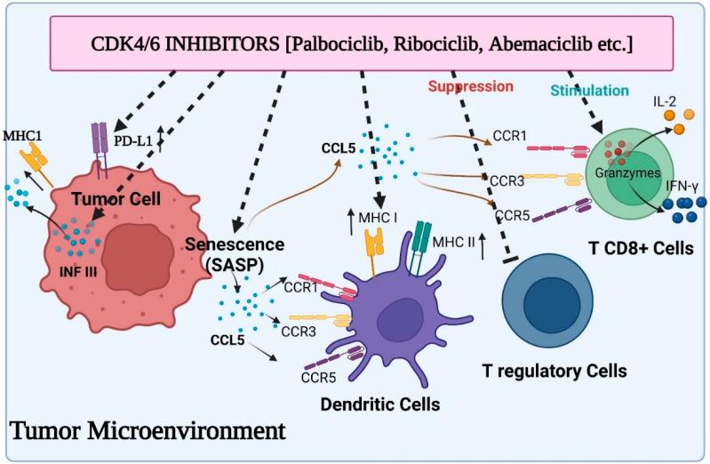 https://cdn.ncbi.nlm.nih.gov/pmc/blobs/0600/9916547/cb63a9c465f5/ijms-24-02236-g002.jpg
