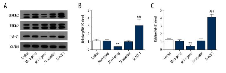 https://cdn.ncbi.nlm.nih.gov/pmc/blobs/0601/7911850/ffcc4a3a775d/medscimonit-27-e928813-g006.jpg