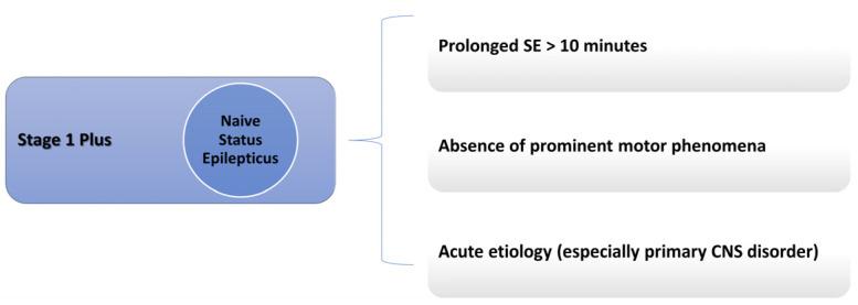 https://cdn.ncbi.nlm.nih.gov/pmc/blobs/0602/12195624/308bd25725a0/neurolint-17-00083-g001.jpg