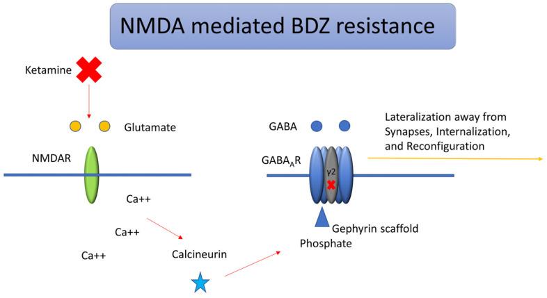 https://cdn.ncbi.nlm.nih.gov/pmc/blobs/0602/12195624/6a7606221dfb/neurolint-17-00083-g003.jpg