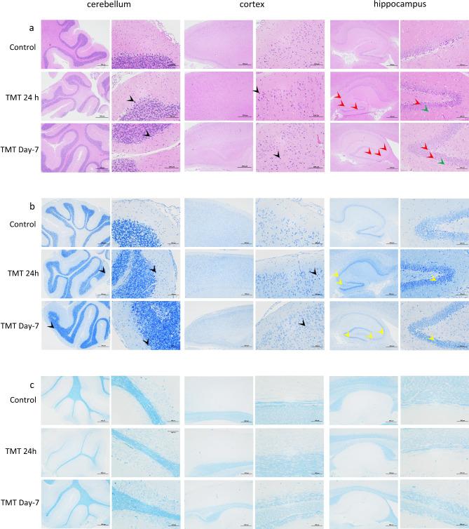 https://cdn.ncbi.nlm.nih.gov/pmc/blobs/0603/11711231/bcd08add41ef/41598_2024_82473_Fig6_HTML.jpg
