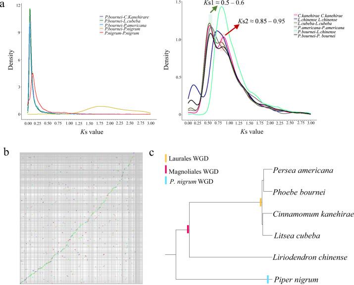 https://cdn.ncbi.nlm.nih.gov/pmc/blobs/0604/7459323/0079671763ec/41438_2020_368_Fig3_HTML.jpg
