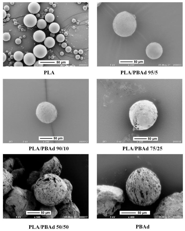 https://cdn.ncbi.nlm.nih.gov/pmc/blobs/0605/8308927/33bb901beceb/pharmaceutics-13-00930-g009.jpg