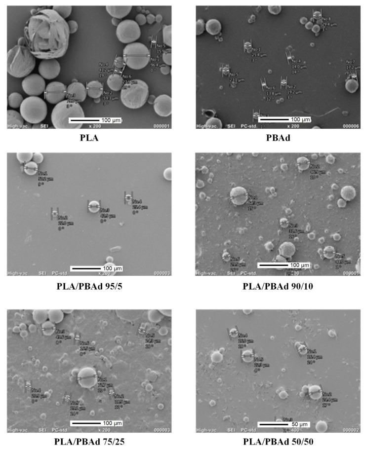 https://cdn.ncbi.nlm.nih.gov/pmc/blobs/0605/8308927/3b955551ea24/pharmaceutics-13-00930-g005.jpg