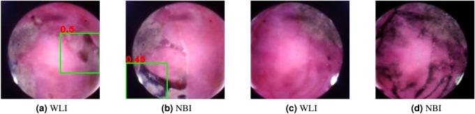 https://cdn.ncbi.nlm.nih.gov/pmc/blobs/0609/9374669/90cac2a51112/41598_2022_17502_Fig6_HTML.jpg