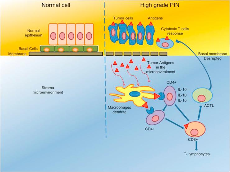 https://cdn.ncbi.nlm.nih.gov/pmc/blobs/060a/5730755/ac679705f887/gr4.jpg