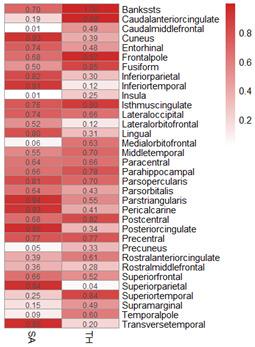 https://cdn.ncbi.nlm.nih.gov/pmc/blobs/060b/11087114/430b61eeadf7/aging-16-205762-g004.jpg