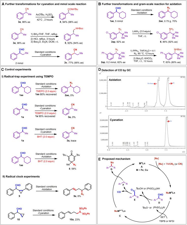 https://cdn.ncbi.nlm.nih.gov/pmc/blobs/0610/10854440/39a0966794c1/sciadv.adh5195-f5.jpg