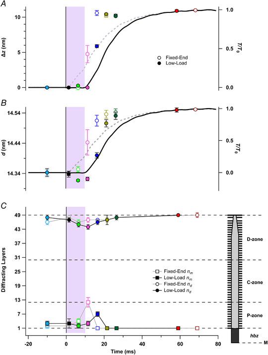 https://cdn.ncbi.nlm.nih.gov/pmc/blobs/0613/9544795/b44785cf9ed8/TJP-600-3983-g009.jpg