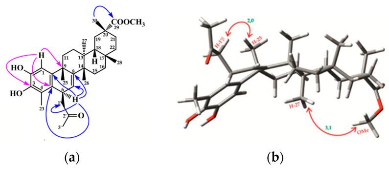 https://cdn.ncbi.nlm.nih.gov/pmc/blobs/0614/11395069/d70f2a4d2af0/ijms-25-09470-g002.jpg