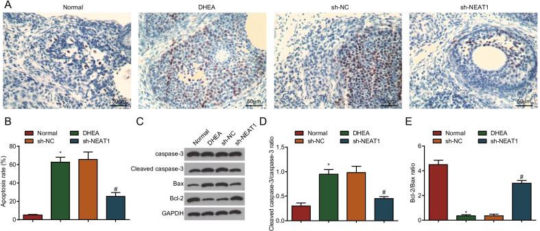 https://cdn.ncbi.nlm.nih.gov/pmc/blobs/0616/8281489/3104b751c5ee/12929_2021_749_Fig5_HTML.jpg