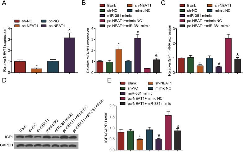 https://cdn.ncbi.nlm.nih.gov/pmc/blobs/0616/8281489/5dc8fccbd115/12929_2021_749_Fig6_HTML.jpg