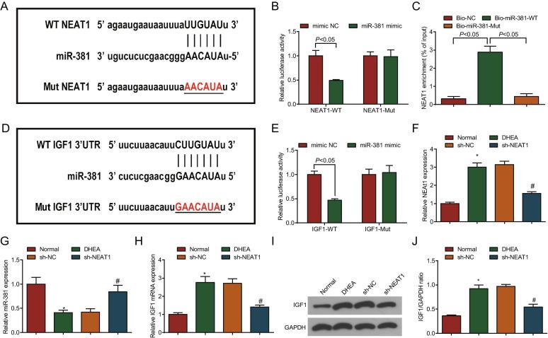 https://cdn.ncbi.nlm.nih.gov/pmc/blobs/0616/8281489/8c016080f437/12929_2021_749_Fig2_HTML.jpg