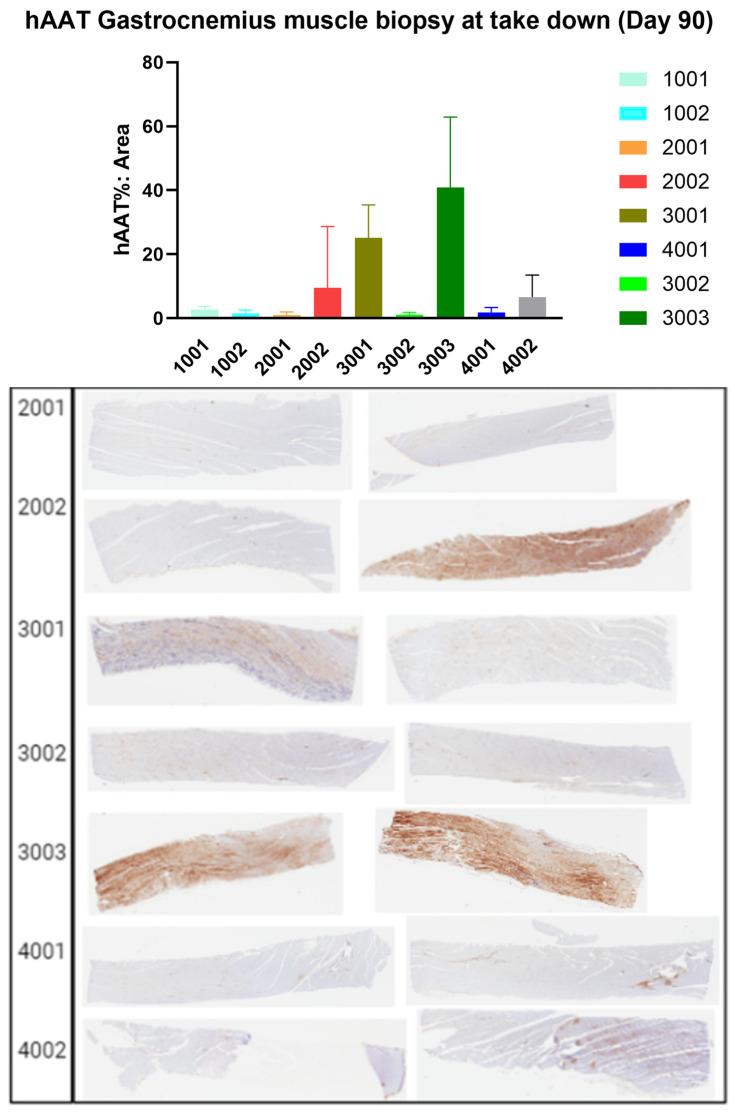 https://cdn.ncbi.nlm.nih.gov/pmc/blobs/0617/11431094/e6f9ec23b291/genes-15-01188-g006.jpg