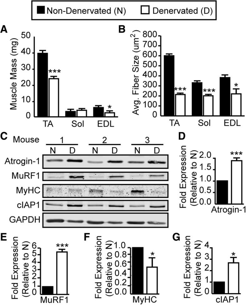 https://cdn.ncbi.nlm.nih.gov/pmc/blobs/0617/6533726/7e5fa77b7a73/13395_2019_201_Fig1_HTML.jpg