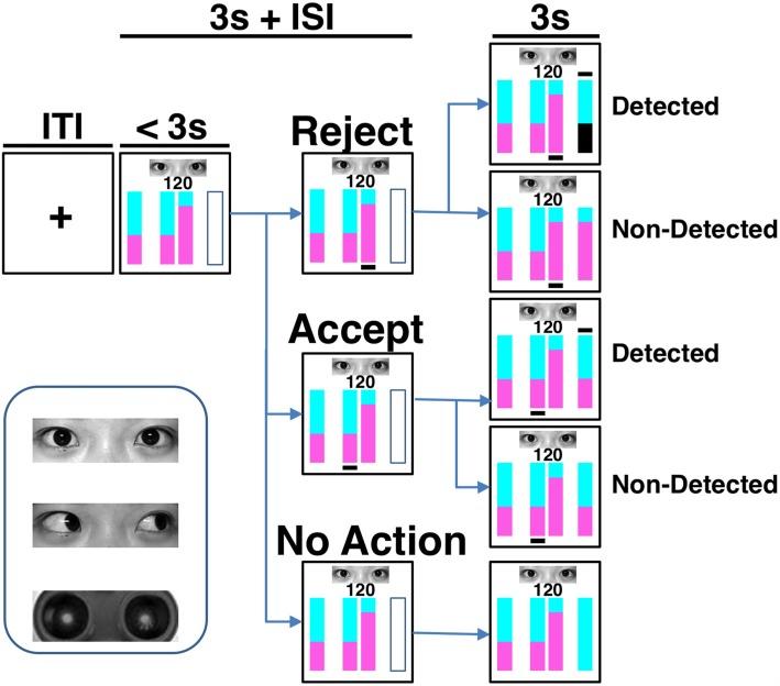 https://cdn.ncbi.nlm.nih.gov/pmc/blobs/0618/5816754/225af2d8ca6f/fnhum-12-00052-g0001.jpg