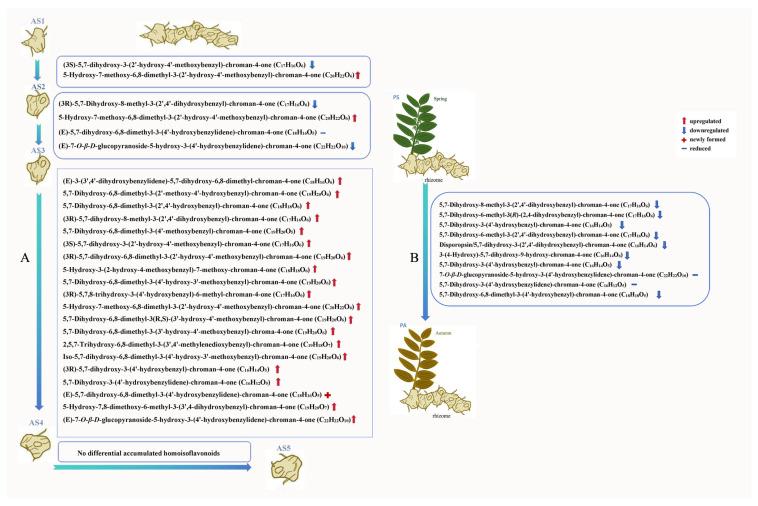 https://cdn.ncbi.nlm.nih.gov/pmc/blobs/0619/11676584/7ebd3df2d757/plants-13-03459-g004.jpg