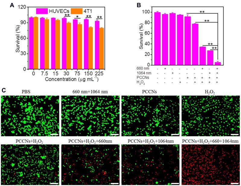 https://cdn.ncbi.nlm.nih.gov/pmc/blobs/0619/8275154/32d68a0a4f4f/IJN-16-4559-g0008.jpg