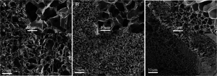 https://cdn.ncbi.nlm.nih.gov/pmc/blobs/061a/11966301/57183e1fadf6/ao4c10083_0004.jpg