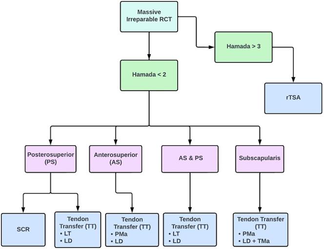 https://cdn.ncbi.nlm.nih.gov/pmc/blobs/061b/12412289/7c3f75264819/EOR-2024-0139fig1.jpg