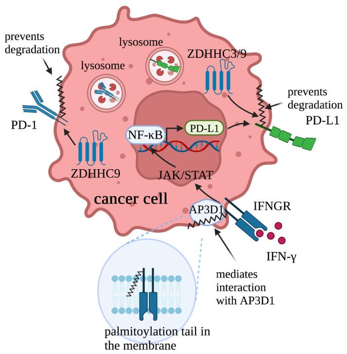 https://cdn.ncbi.nlm.nih.gov/pmc/blobs/061c/10526800/7240eb6a7b2d/cells-12-02209-g004.jpg