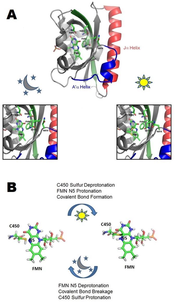 https://cdn.ncbi.nlm.nih.gov/pmc/blobs/061c/3903614/e334b5d13efe/pone.0087074.g001.jpg