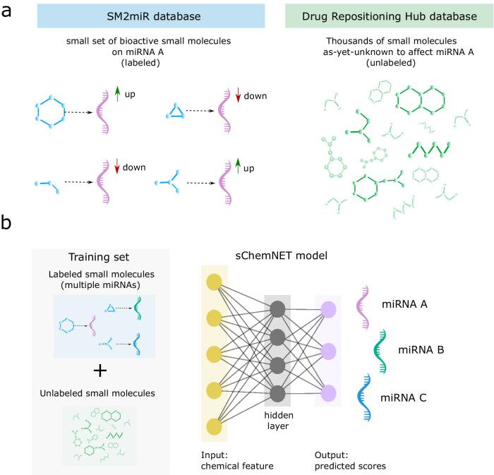 https://cdn.ncbi.nlm.nih.gov/pmc/blobs/061d/11500171/acd89f05a1c3/41467_2024_49813_Fig1_HTML.jpg