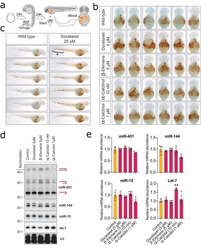 https://cdn.ncbi.nlm.nih.gov/pmc/blobs/061d/11500171/b3d9e4d678a2/41467_2024_49813_Fig5_HTML.jpg