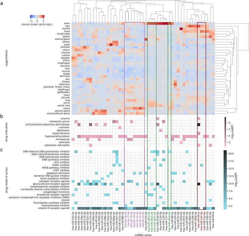 https://cdn.ncbi.nlm.nih.gov/pmc/blobs/061d/11500171/eb4a902b386b/41467_2024_49813_Fig4_HTML.jpg