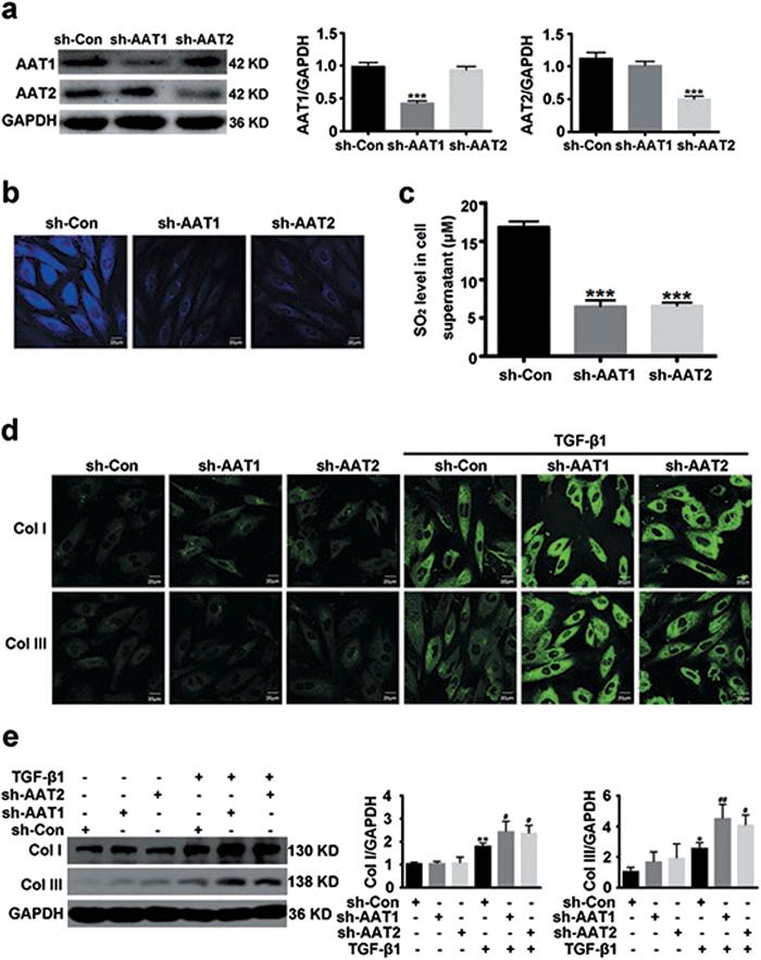 https://cdn.ncbi.nlm.nih.gov/pmc/blobs/0622/4725894/4f15dc964cfb/srep19503-f2.jpg