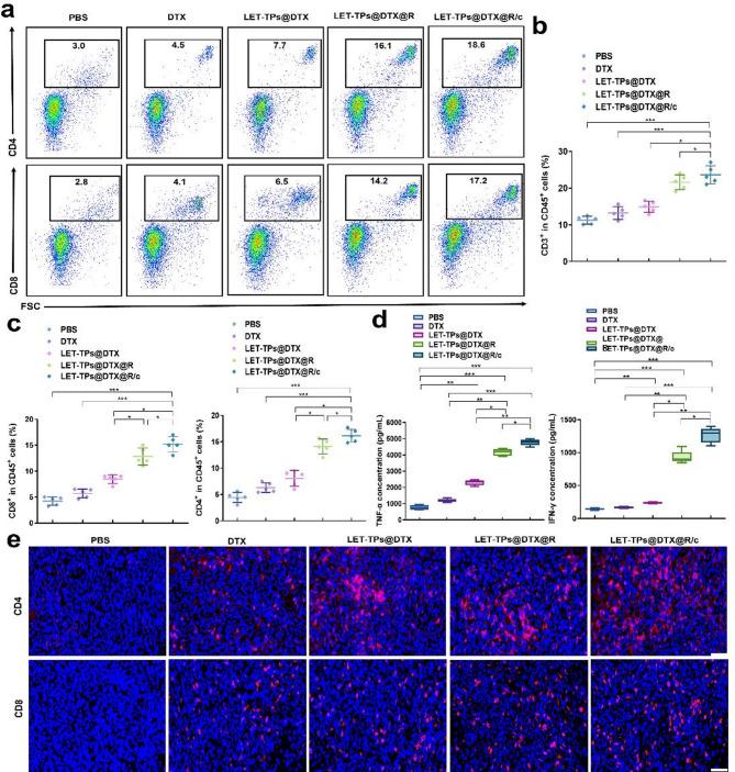 https://cdn.ncbi.nlm.nih.gov/pmc/blobs/0623/12139204/06ee6f354a93/12951_2025_3440_Fig6_HTML.jpg