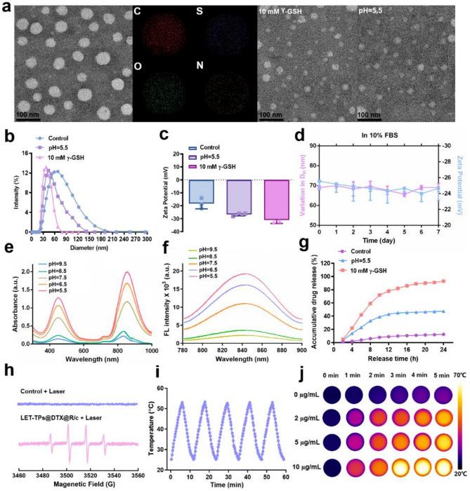 https://cdn.ncbi.nlm.nih.gov/pmc/blobs/0623/12139204/53ae55b7e4a0/12951_2025_3440_Fig2_HTML.jpg