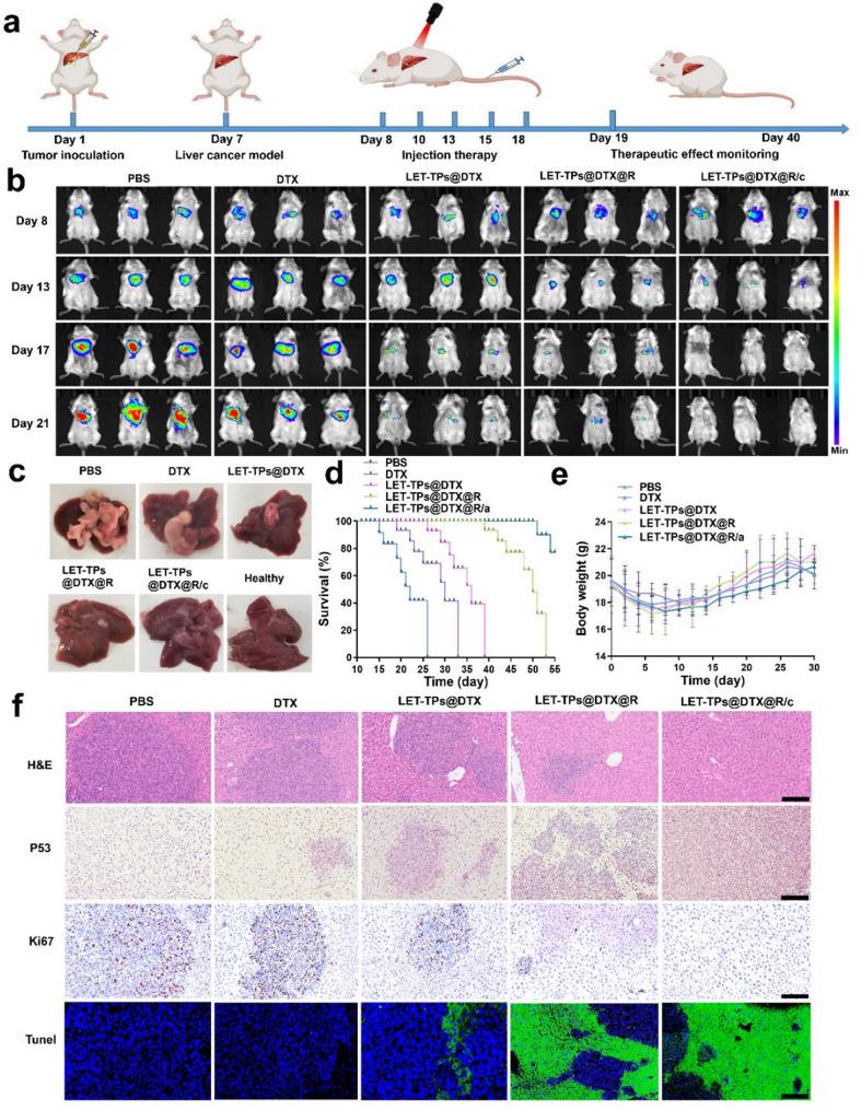 https://cdn.ncbi.nlm.nih.gov/pmc/blobs/0623/12139204/75cbe84163a0/12951_2025_3440_Fig5_HTML.jpg