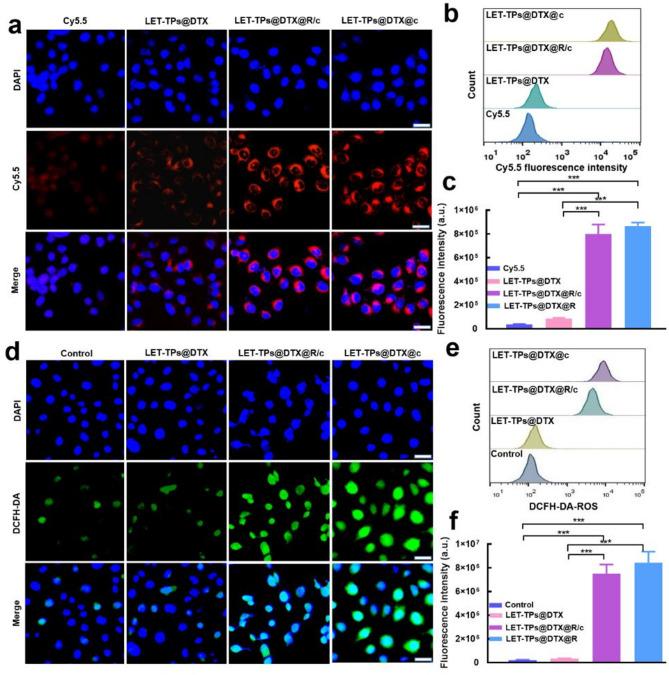 https://cdn.ncbi.nlm.nih.gov/pmc/blobs/0623/12139204/7fd0689b5022/12951_2025_3440_Fig3_HTML.jpg