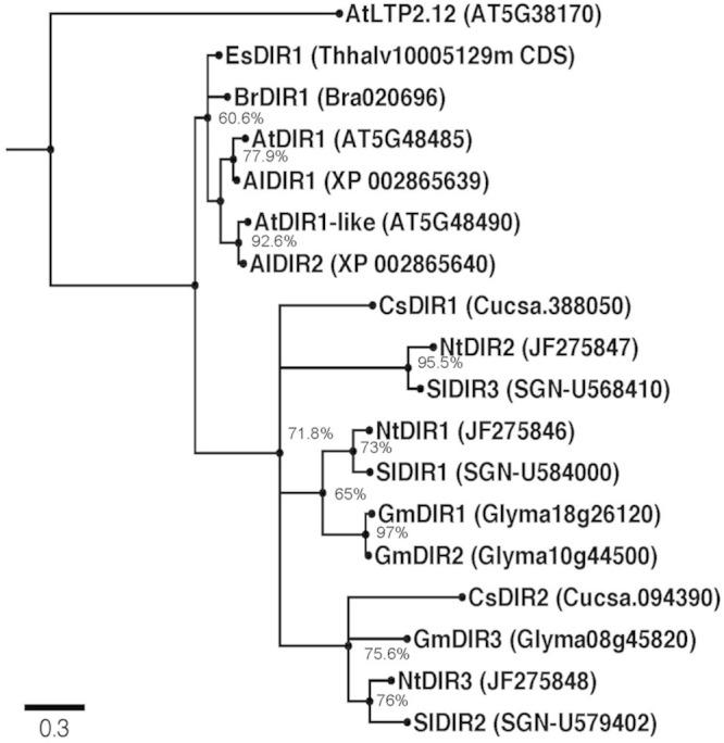https://cdn.ncbi.nlm.nih.gov/pmc/blobs/0623/4854023/87136fbd7f2f/fpls-07-00566-g001.jpg