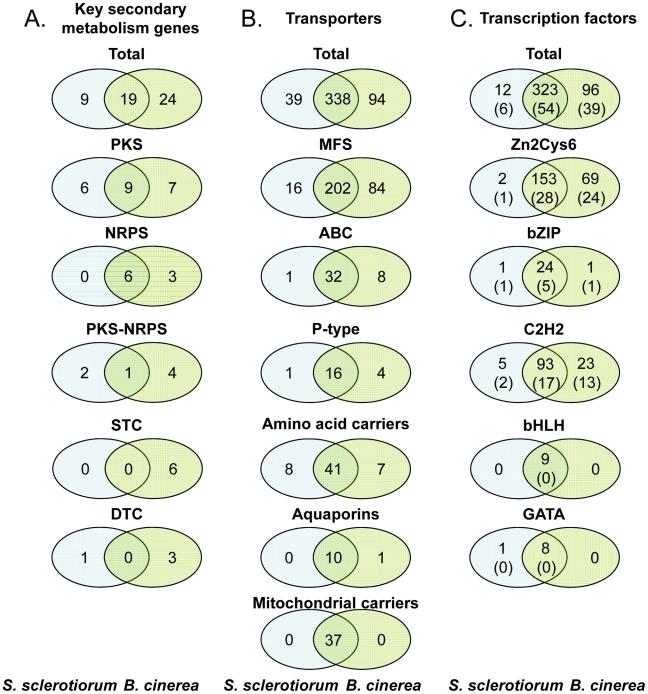 https://cdn.ncbi.nlm.nih.gov/pmc/blobs/0624/3158057/f4faacdfc090/pgen.1002230.g006.jpg