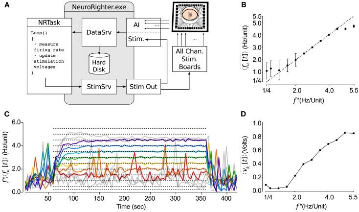 https://cdn.ncbi.nlm.nih.gov/pmc/blobs/0625/3548271/88fcdc03559f/fncir-06-00098-g005.jpg