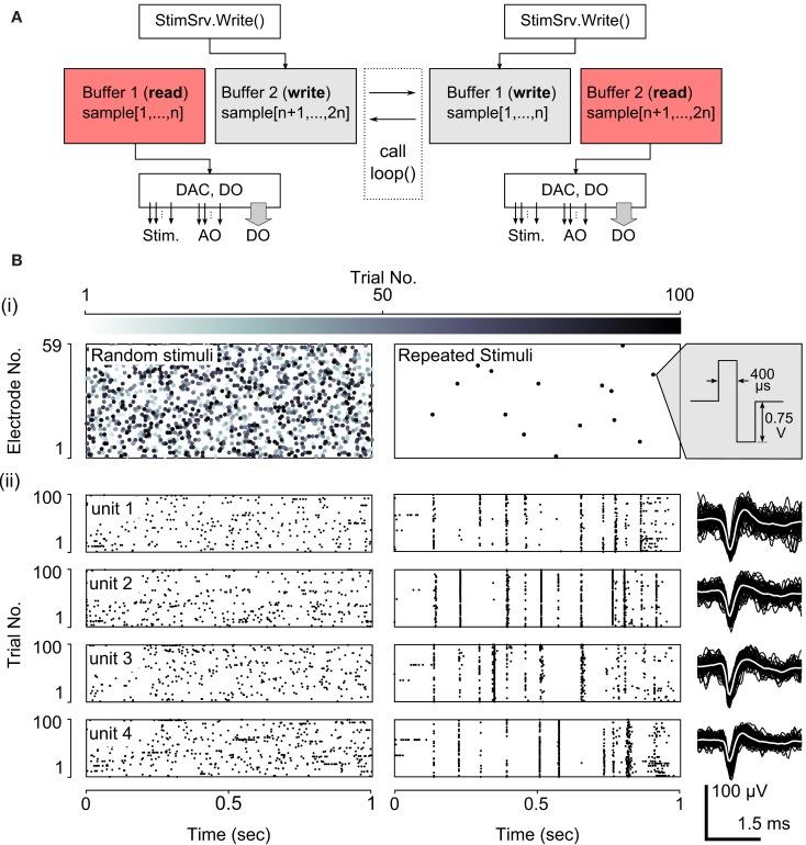 https://cdn.ncbi.nlm.nih.gov/pmc/blobs/0625/3548271/94741a95c5e5/fncir-06-00098-g002.jpg
