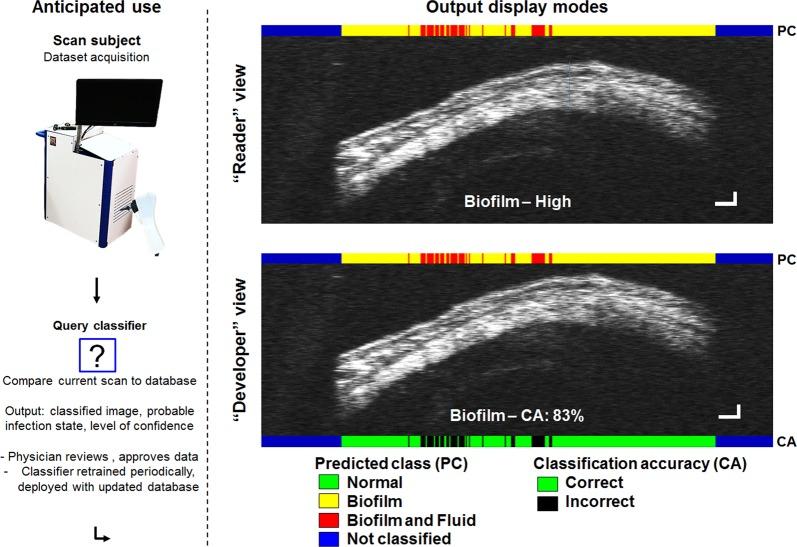 https://cdn.ncbi.nlm.nih.gov/pmc/blobs/0625/6550205/645ce09b7109/41746_2019_94_Fig4_HTML.jpg
