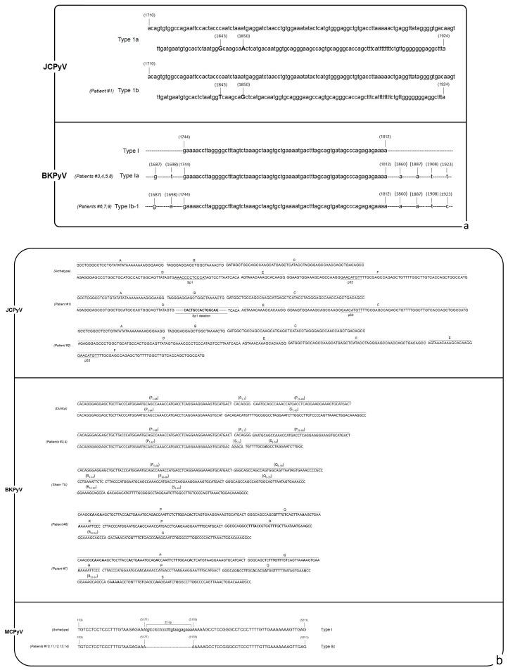 https://cdn.ncbi.nlm.nih.gov/pmc/blobs/0626/7022863/f745c0d3fcb1/microorganisms-08-00016-g002.jpg