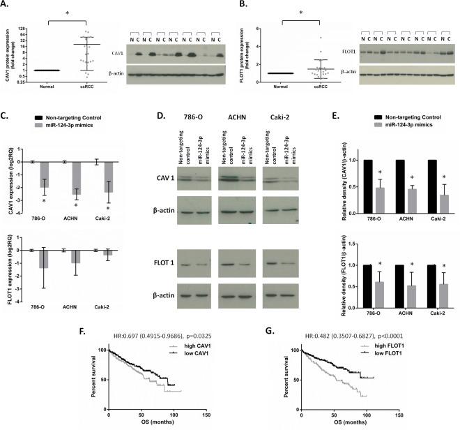 https://cdn.ncbi.nlm.nih.gov/pmc/blobs/0627/4494957/e28fd9fbf3ae/oncotarget-06-12543-g006.jpg
